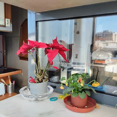 Séjour chez l'habitant Sweets *