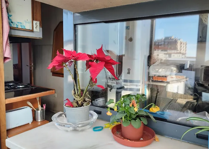 Séjour chez l'habitant Sweets *